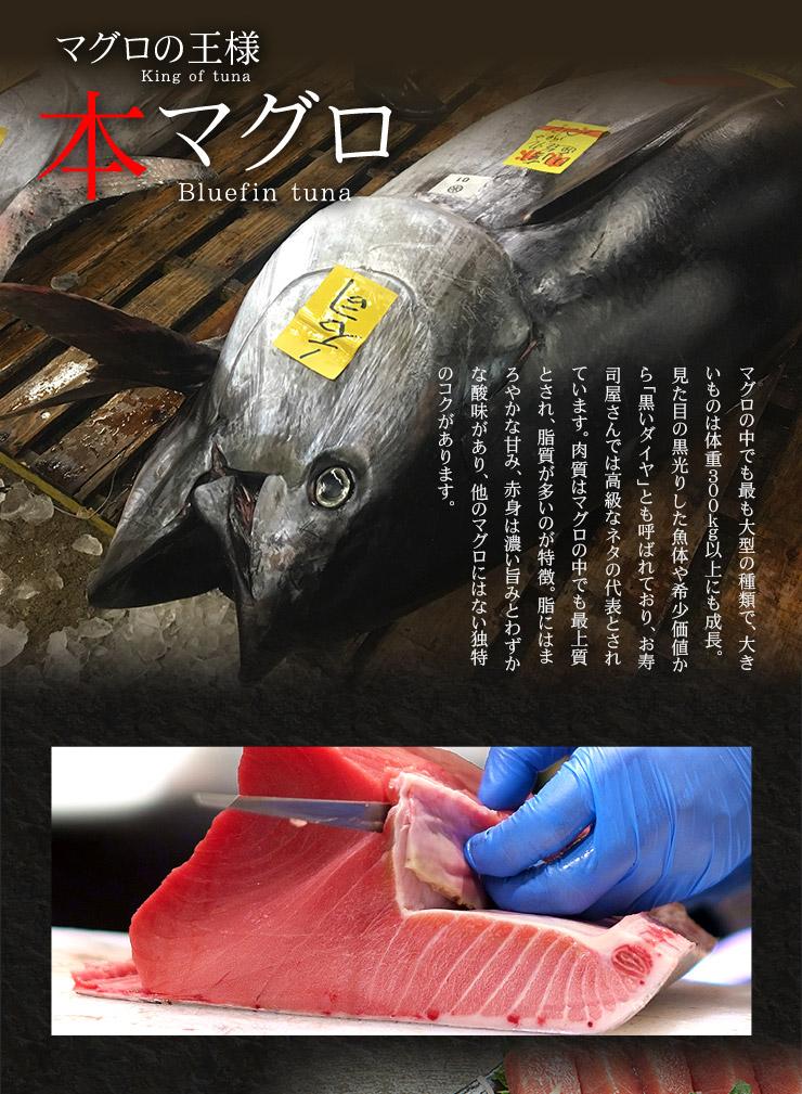 本マグロ訳あり中トロ700g！解凍レシピ付