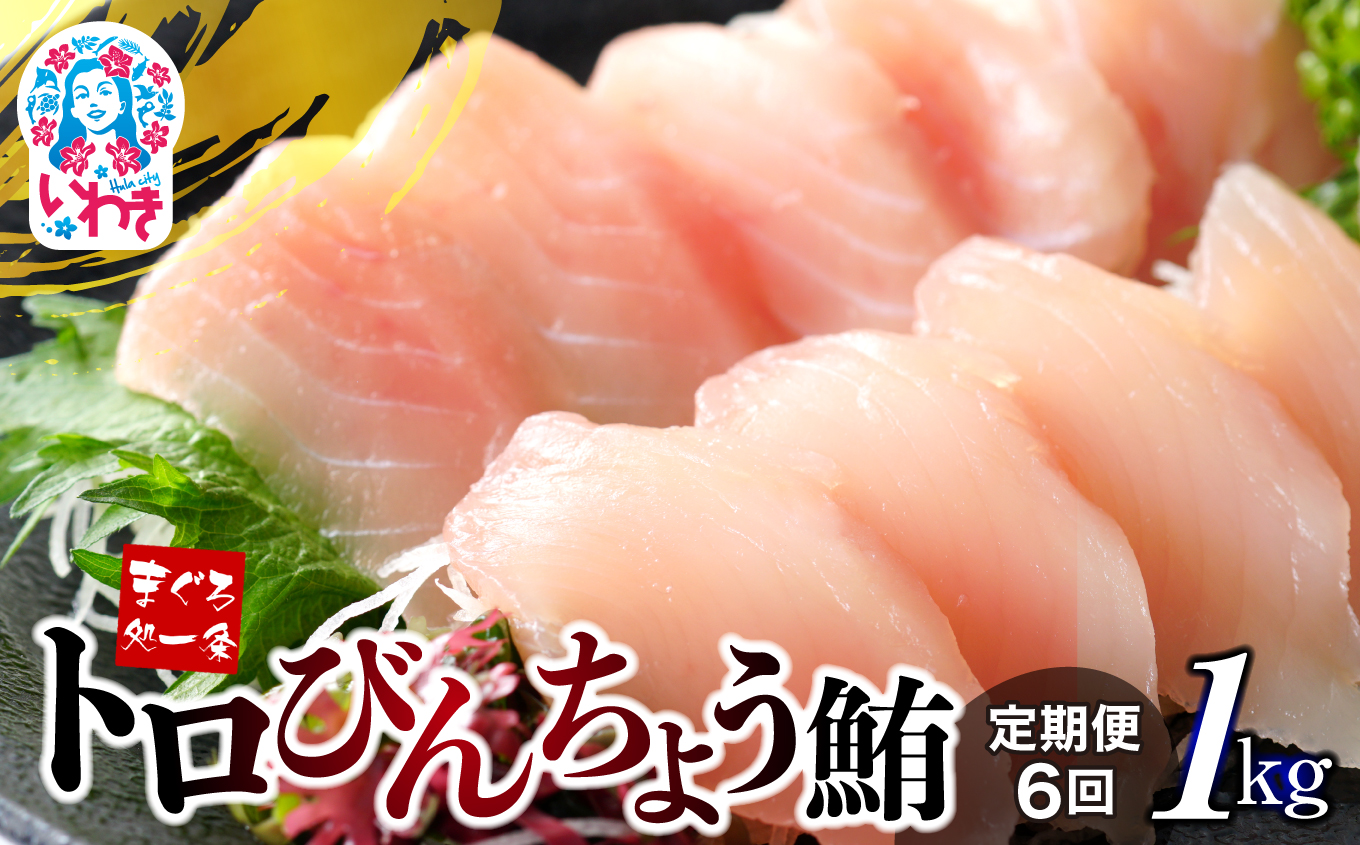 【定期便/計6回】トロびんちょう鮪1kg（500g×2パック）（計6kg）【DG015-t6】|選べる 回数 定期便 ｜ マグロ まぐろ 刺身 ねっとりとした食感の びんトロ！ 解凍レシピ付 可食部ほぼ100％