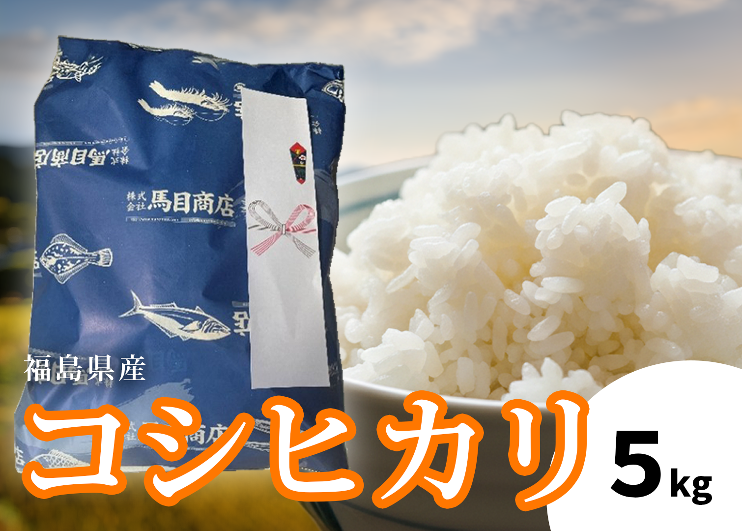 【令和7年度産 】福島県産コシヒカリ 5kg | 福島県産 コシヒカリ  令和7年産 順次発送 白米 単一原料米 粒揃い 甘み もちもち ふっくら つややか ごはん ギフト 精米 | BF038