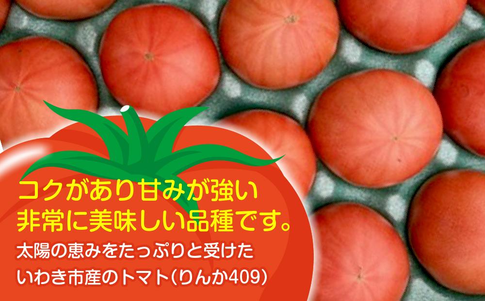 いわき市産大玉トマト「りんか」　4kg（18～28玉）　大容量