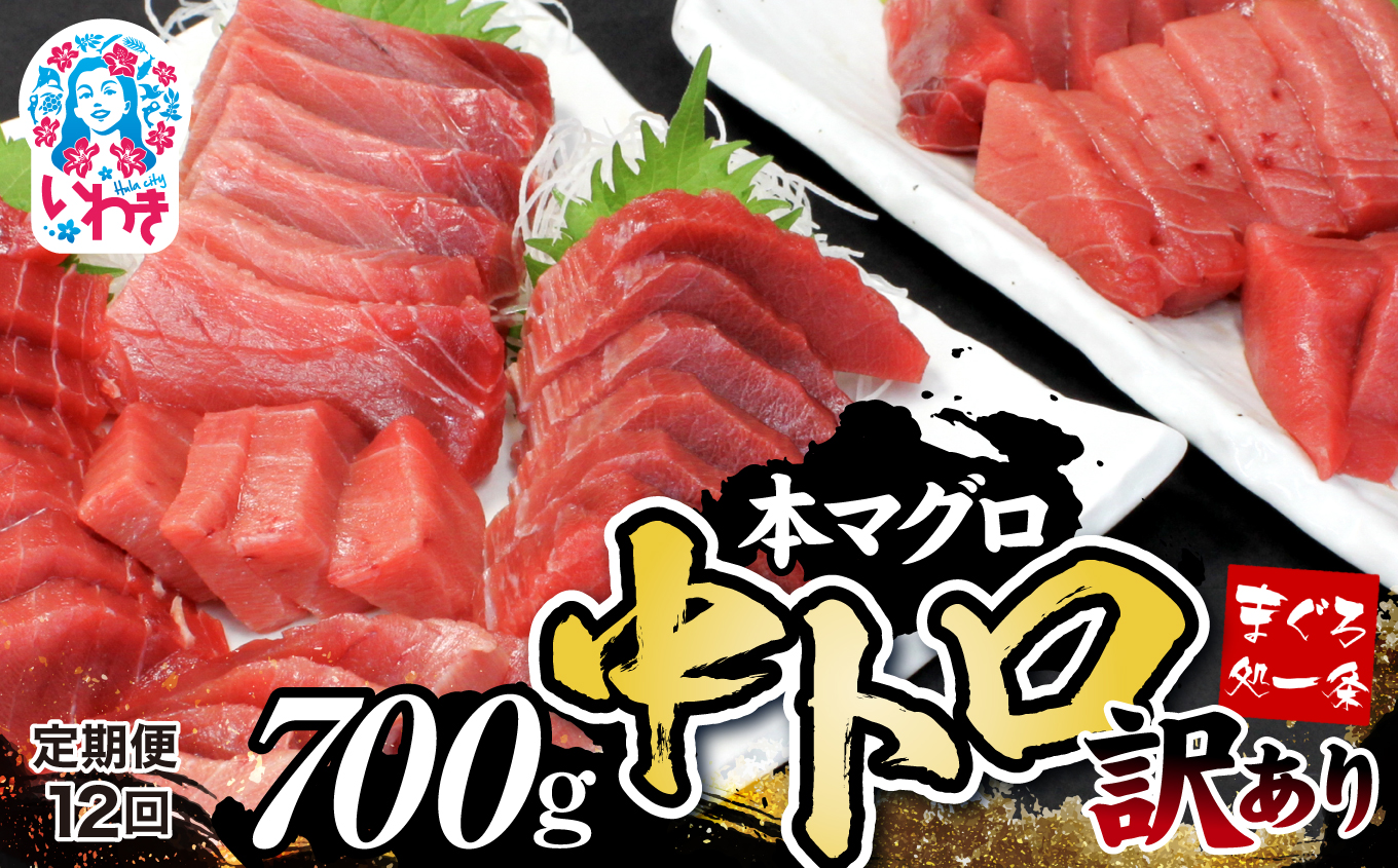 【定期便/計12回】本マグロ訳あり中トロ700g（計8.4kg）【DG008-t12】|いわき市 ふるさと納税 株式会社東日本貿易 鮪 本鮪 本まぐろ マグロ トロ とろ 刺し身 さしみ さかな 海鮮 寿司 解凍レシピ付