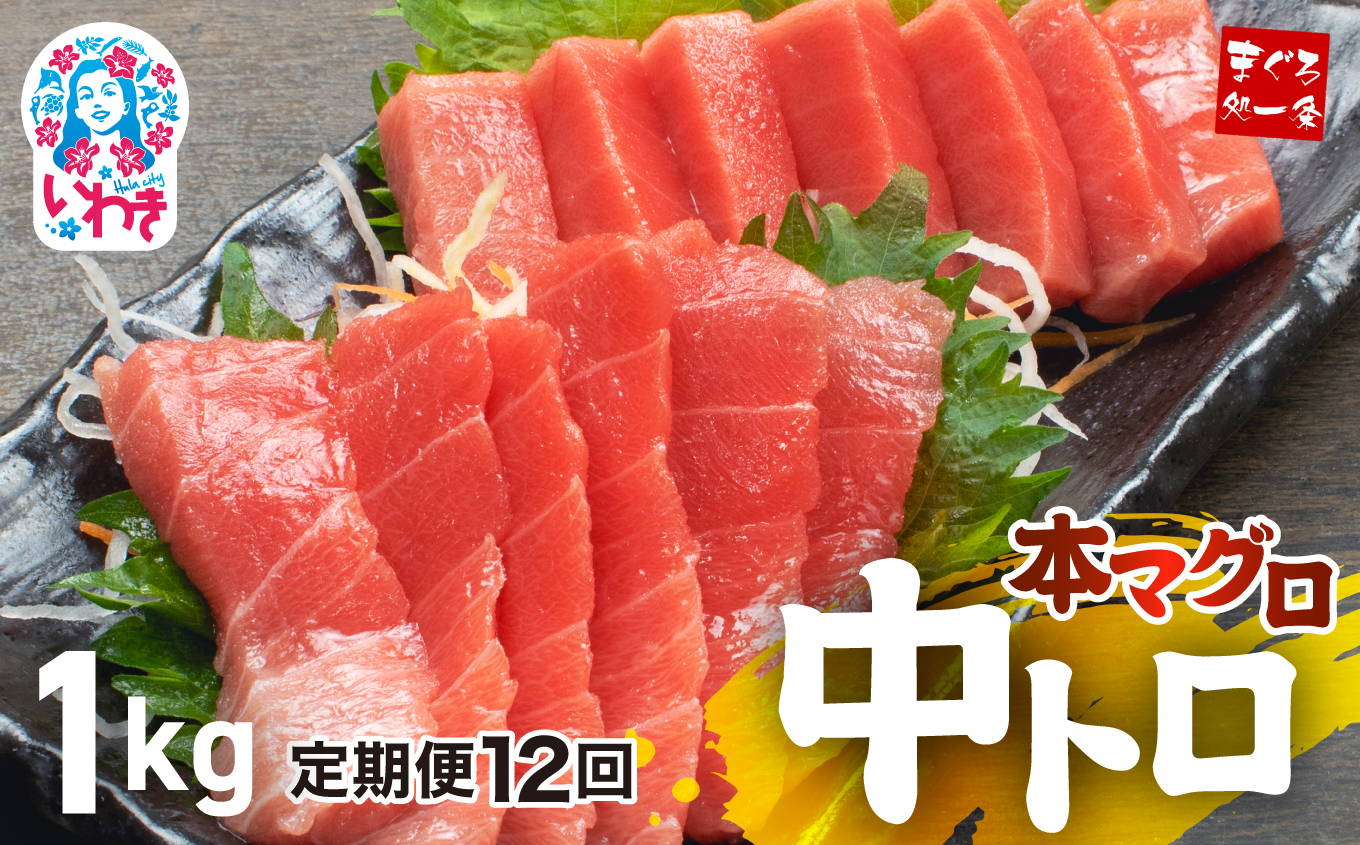 【定期便/計12回】本マグロ中トロ1kg（計12kg）【DG006-t12】|いわき市 ふるさと納税 株式会社東日本貿易 鮪 本鮪 本まぐろ マグロ トロ とろ 刺し身 さしみ さかな 海鮮 寿司 解凍レシピ付