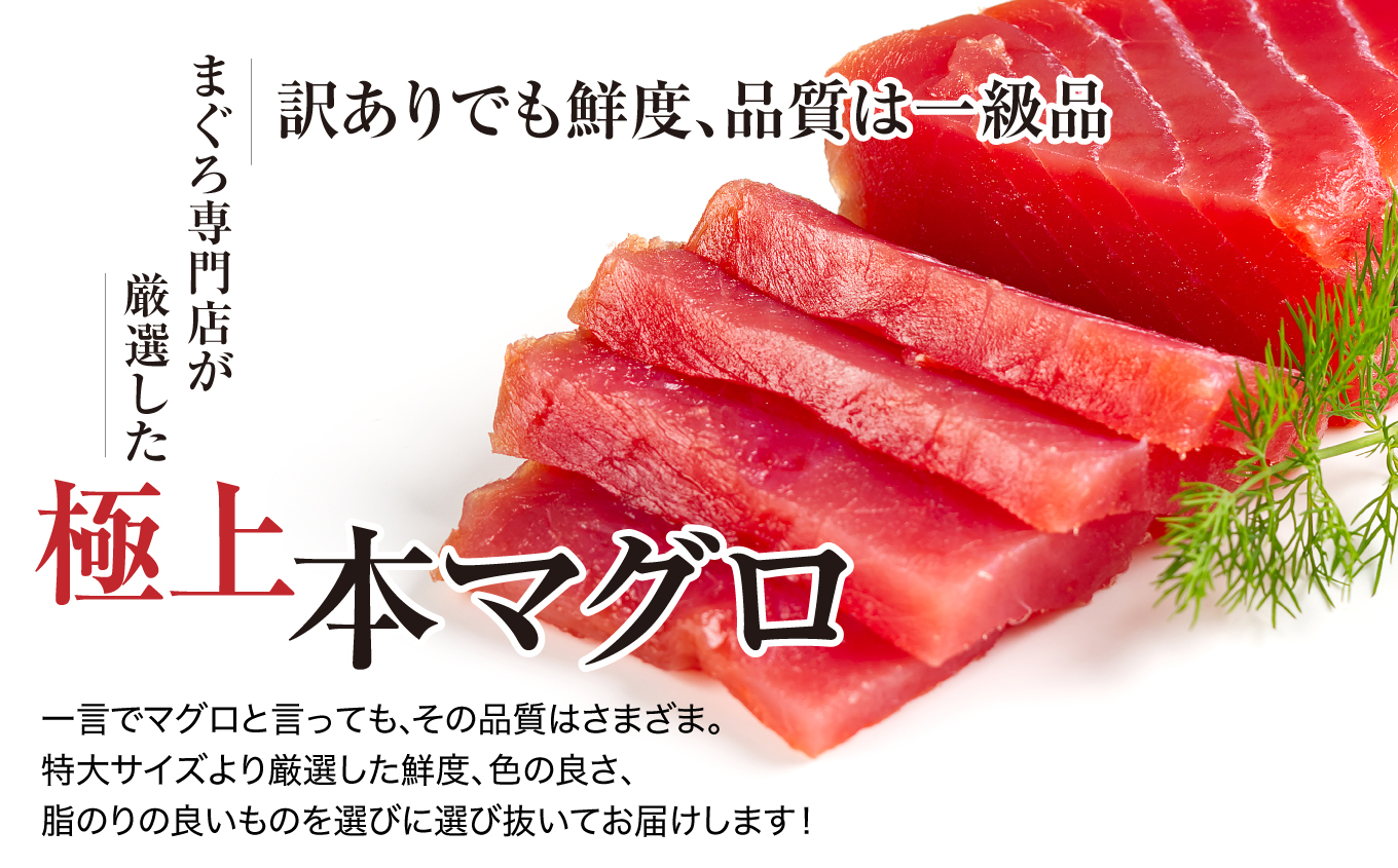 【単品】訳あり 本マグロ 中トロ 1kg | まぐろ マグロ 中トロ 約6〜8人前 本まぐろ 解凍レシピ付 鮪 海鮮丼 刺身 寿司 鉄火丼 【DG007】