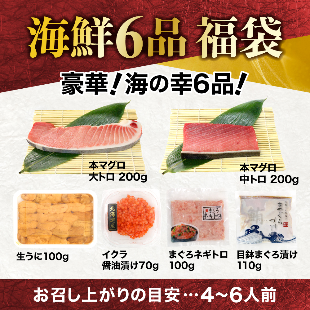 【単品】豪華海鮮6品福袋　本マグロ まぐろ 大トロ＆中トロ ウニ イクラ ネギトロ 海鮮丼 手巻き寿司 約4〜6人前 海鮮セット 海鮮丼の具【DG002】|いわき市 ふるさと納税 株式会社東日本貿易 鮪 まぐろ 雲丹 イクラ さかな 海鮮丼 手巻寿司 刺し身 さしみ いくら醤油漬 無添加うに 詰め合わせ ふるさと納税