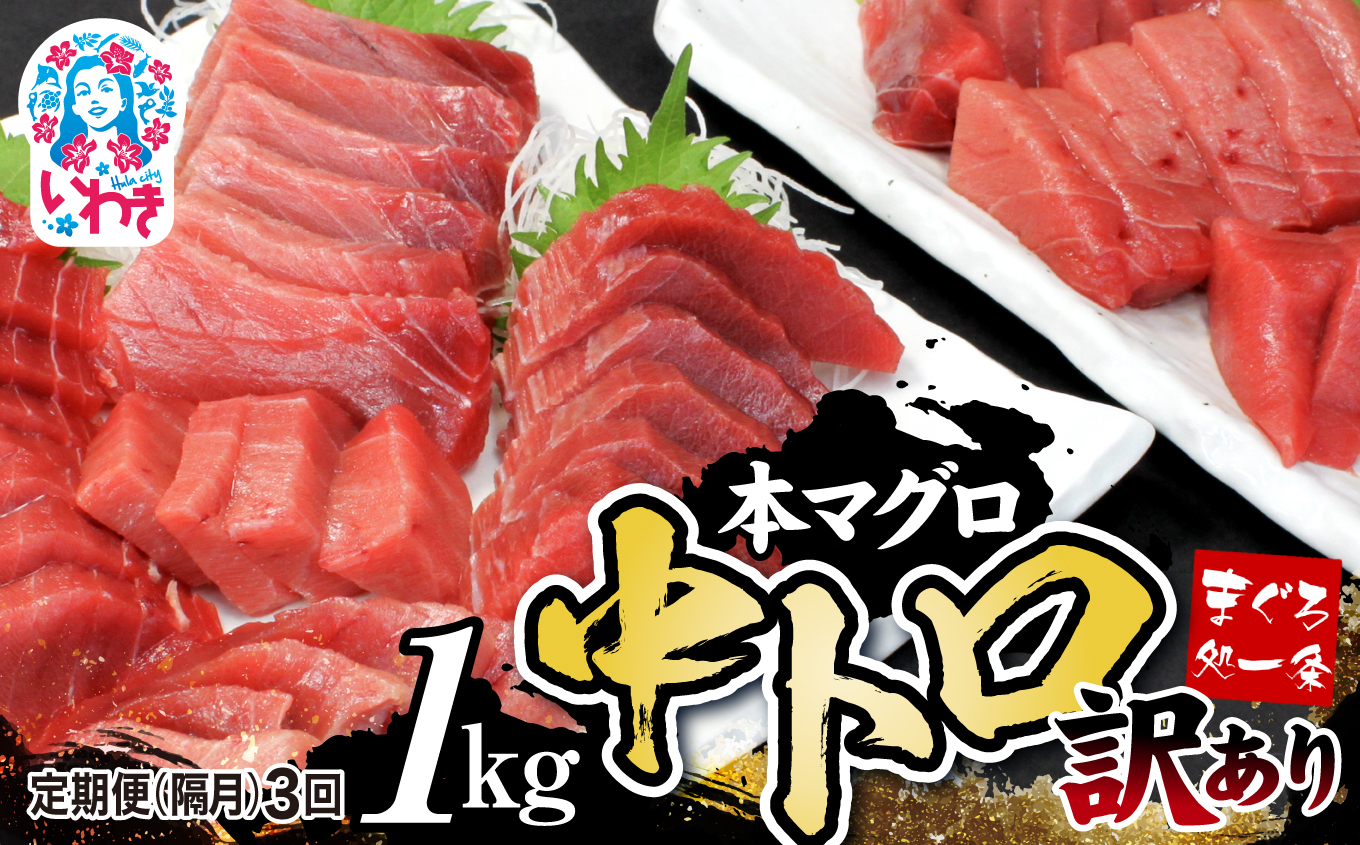 【定期便/隔月/計3回】本マグロ訳あり中トロ1kg（計3kg）【DG007-tk3】|いわき市 ふるさと納税 株式会社東日本貿易 鮪 本鮪 本まぐろ マグロ トロ とろ 刺し身 さしみ さかな 海鮮 寿司 解凍レシピ付