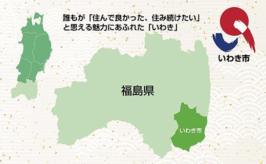 【無地熨斗付き】真蛸(蒸しボイルたこ)　500g×2杯　調理簡単で便利！おかずの一品やお酒のお供に！