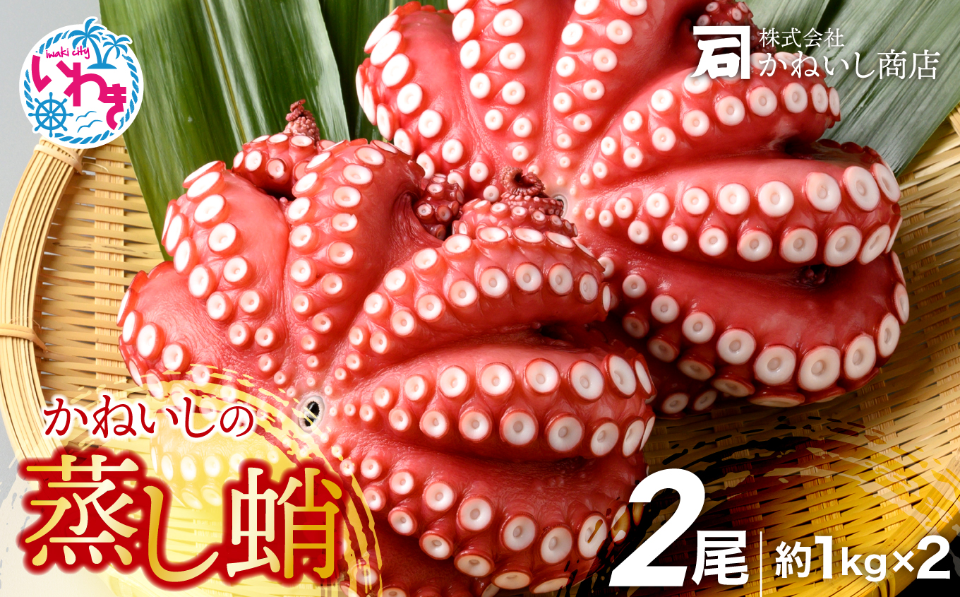 かねいしの蒸し蛸2尾【約1kg×2尾】 BU002-2kg-r7