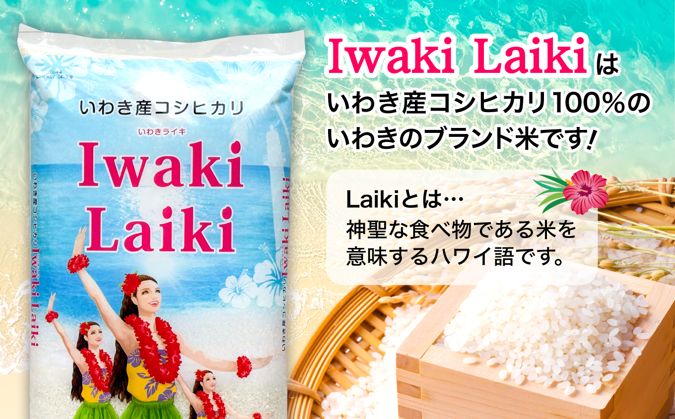 Iwaki Laiki いわき産コシヒカリ10kg（5kg×2袋） | IwakiLaiki いわき産 コシヒカリ 10kg  産地直送 ブランド米 上白米 一等米 ミネラル豊富 日照 旨み ふっくら ねばり 甘み 食感 ギフト 贈答用 白米 精米 送料無料 お米 こめ 人気 | FU004-10kg-r7