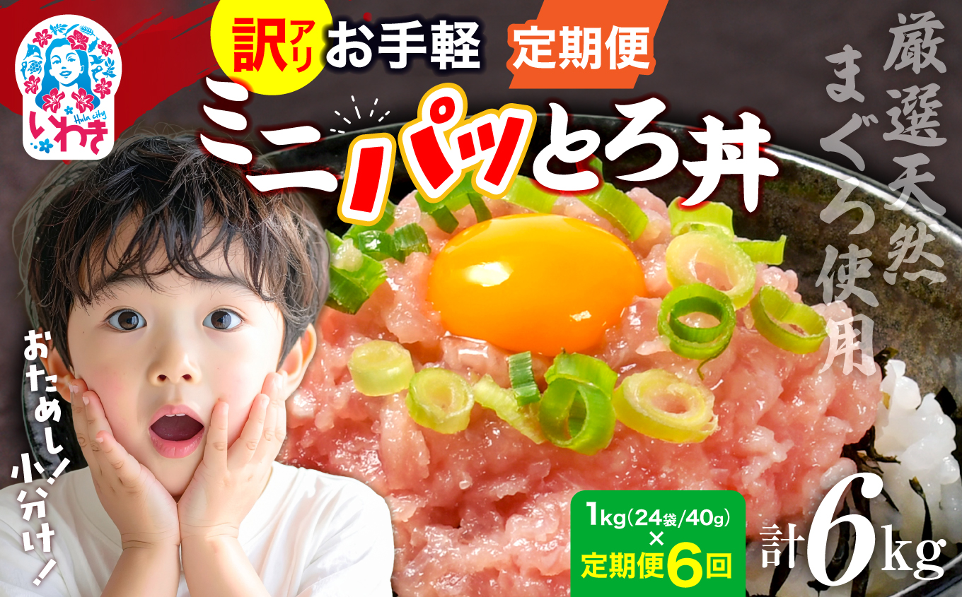 〈定期便6回〉ねぎとろ使い切りパック　約1kg（約40g×24パック） | まぐろ まぐろたたき ねぎとろ マグロ パーティー 使い切りパック 海鮮丼 お寿司 軍艦巻き 福島県 いわき市 父の日 | DK011-1kg-t6