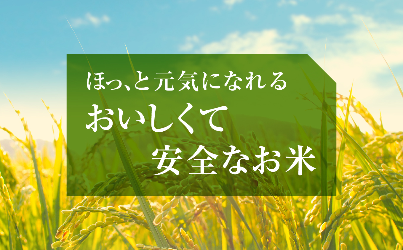 Iwaki Laiki いわき産コシヒカリ5kg（5kg×1袋） | IwakiLaiki いわき産 コシヒカリ 5kg  産地直送 ブランド米 上白米 一等米 ミネラル豊富 日照 旨み ふっくら ねばり 甘み 食感 ギフト 贈答用 白米 精米 送料無料 お米 こめ 人気 | FU004-5kg-r7