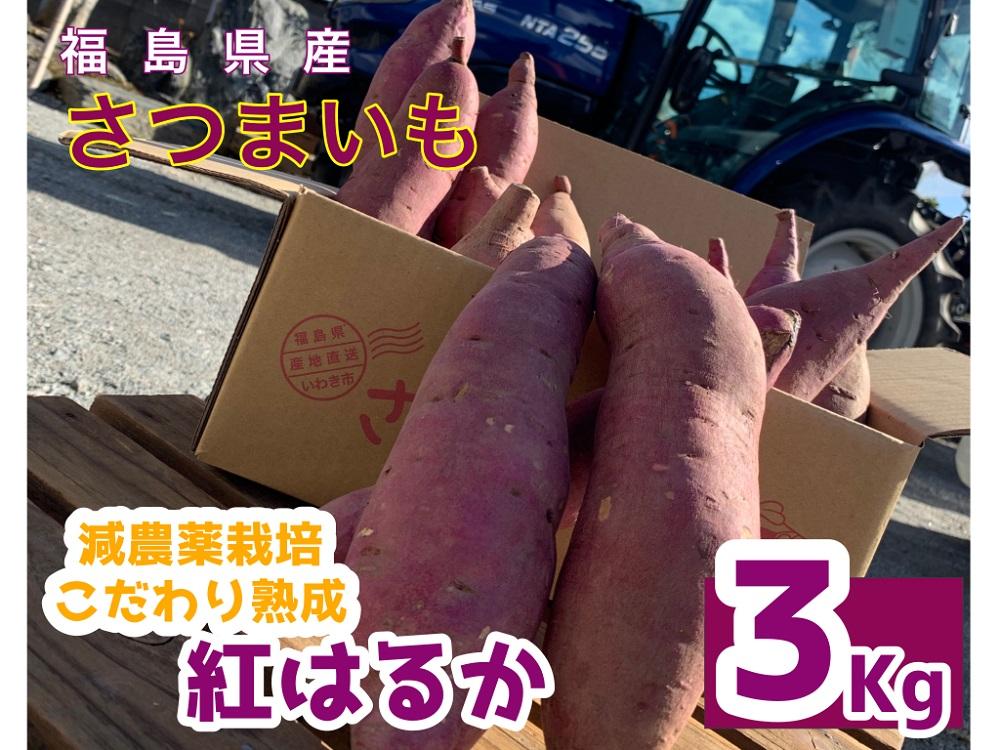 サツマイモ　紅はるか　3Kg　サイズおまかせセット