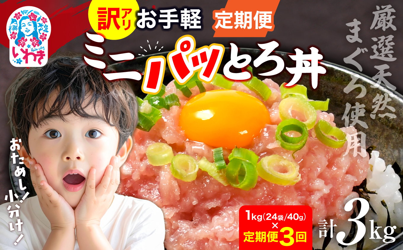 〈定期便3回〉ねぎとろ使い切りパック　約1kg（約40g×24パック） | まぐろ まぐろたたき ねぎとろ マグロ パーティー 使い切りパック 海鮮丼 お寿司 軍艦巻き 福島県 いわき市 父の日 | DK011-1kg-t3