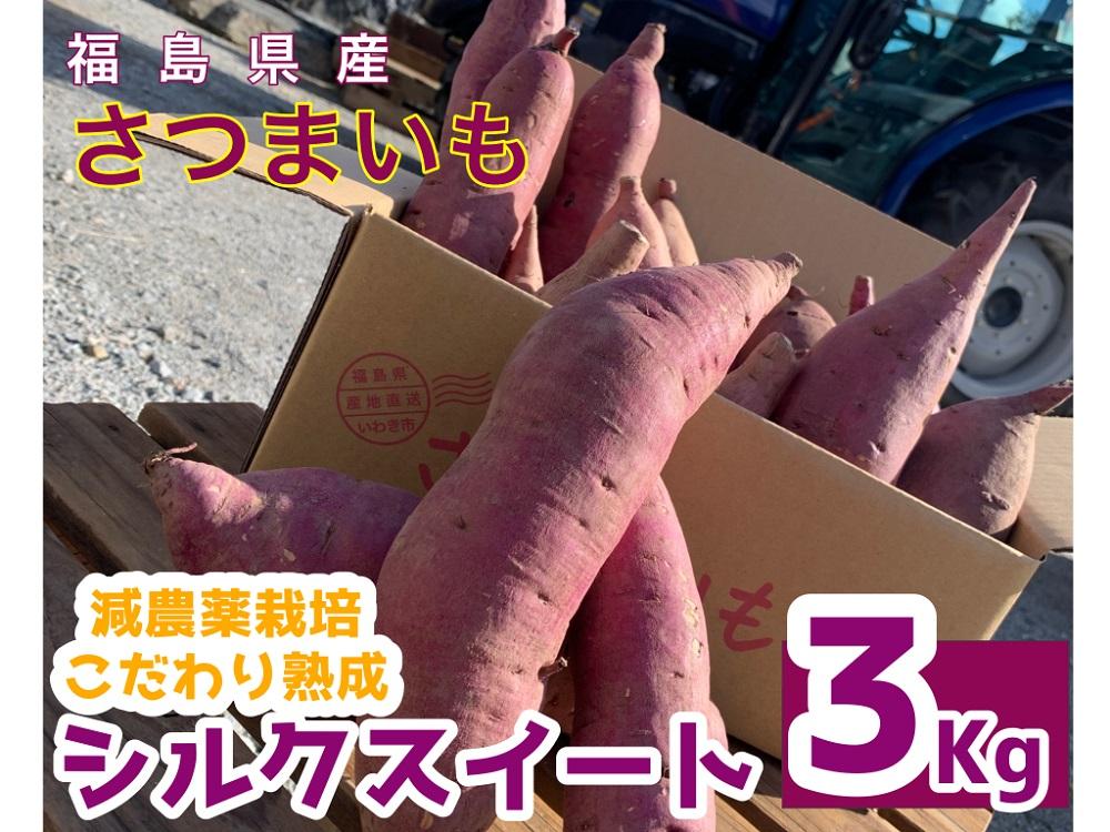 サツマイモ　シルクスイート　3Kg　サイズおまかせセット