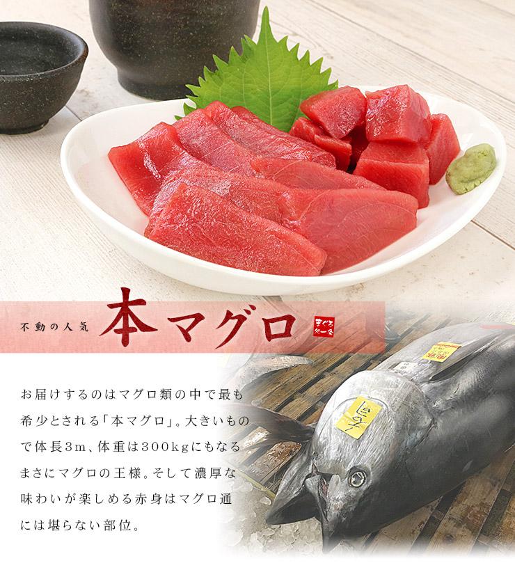 本マグロ訳あり赤身700g　解凍レシピ付　本マグロの赤身食べ放題！