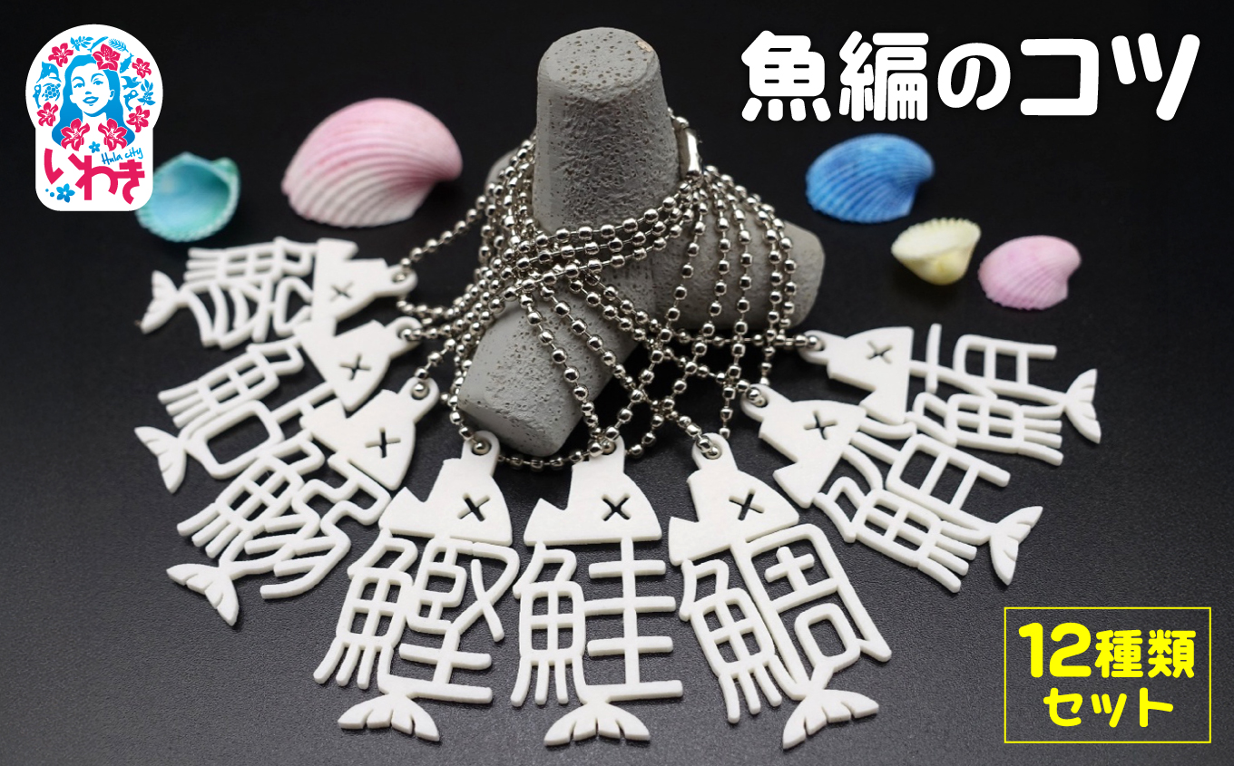 魚編のコツ　12種類コンプリートセット（ボールチェーン）| 魚編 漢字 コツ ボールチェーン コンプリート 全種類 セット キーホルダー 漢字雑貨 魚偏 かわいい 漢字グッズ プレゼント ギフト 学習 雑貨 キーチャーム | DF008