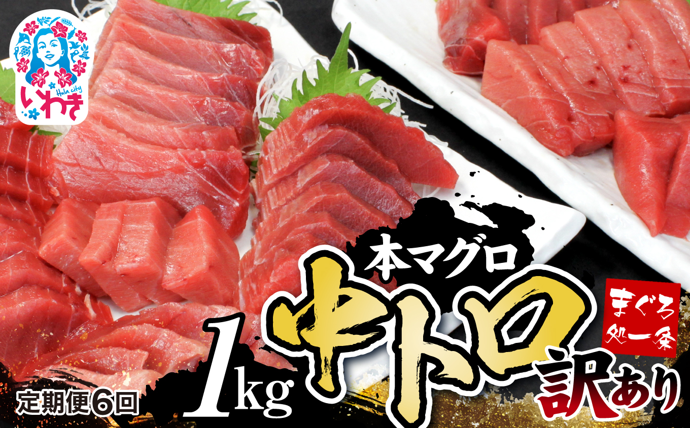 【定期便/計6回】本マグロ訳あり中トロ1kg（計6kg）【DG007-t6】|いわき市 ふるさと納税 株式会社東日本貿易 鮪 本鮪 本まぐろ マグロ トロ とろ 刺し身 さしみ さかな 海鮮 寿司 解凍レシピ付