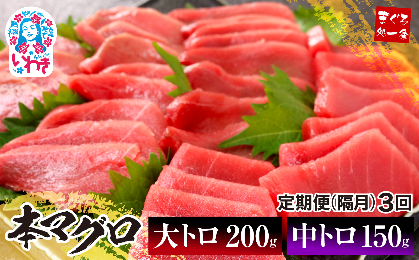 【定期便/隔月/計3回】本マグロ大トロ中トロセット350g（計1050g）【DG012-tk3】|いわき市 ふるさと納税 株式会社東日本貿易 鮪 本鮪 本まぐろ マグロ 大トロ 大とろ トロ とろ 刺し身 さしみ さかな 海鮮 寿司 解凍レシピ付