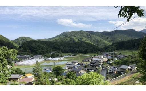 豊かな自然に包まれた中山間地域の再生