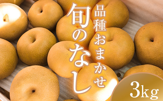 阿部農縁　福島県の和梨　品種おまかせ　旬のなし3kg(8～11玉)　ギフト・贈答用 F7X-0063