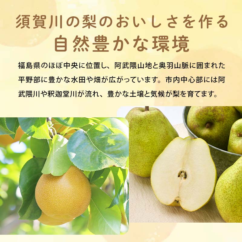 渡辺果樹園の幸水梨 約3kg＜8月中旬～9月上旬にお届け＞ F7X-0162