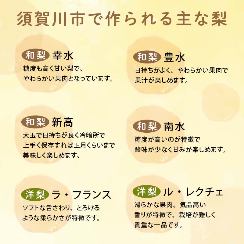 渡辺果樹園の幸水梨 約3kg＜8月中旬～9月上旬にお届け＞ F7X-0162