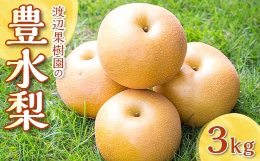 渡辺果樹園の豊水梨　約3kg＜9月上旬～9月下旬にお届け＞ F7X-0163
