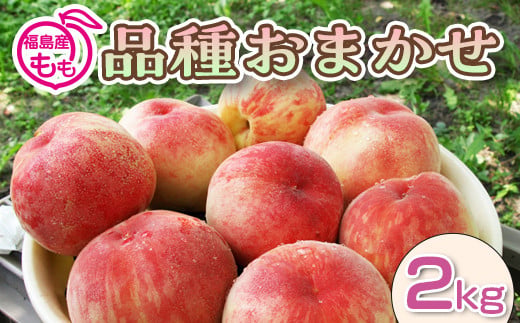 阿部農縁　福島県の桃　農家直送の完熟もも　品種おまかせ2kg(6～9玉)　ギフト・贈答用 F7X-0054