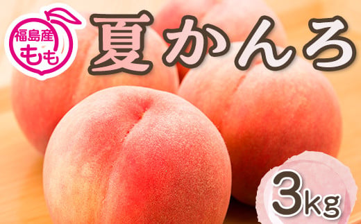 阿部農縁　福島の桃　夏かんろ3kg(10～12玉)　ギフト・贈答用　ふくしまの完熟もも F7X-0049