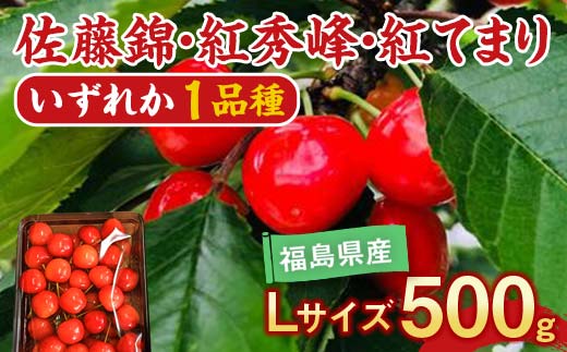 さくらんぼ 佐藤錦 紅秀峰 紅てまり どれか1品種 500g Lサイズ ＜有我果樹園＞ F7X-0227