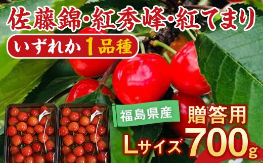 さくらんぼ 佐藤錦 紅秀峰 紅てまり どれか1品種 約700g L～2Lサイズ 贈答用 ＜有我果樹園＞ F7X-0228