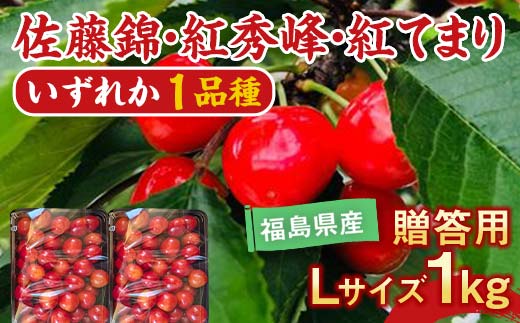さくらんぼ 佐藤錦 紅秀峰 紅てまりのどれか1品種 1kg Lサイズ 贈答用 ＜有我果樹園＞ F7X-0229