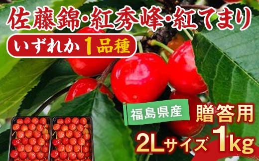 さくらんぼ 佐藤錦 紅秀峰 紅てまりのどれか1品種 1kg 2Lサイズ 贈答用 ＜有我果樹園＞ F7X-0230