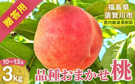 桃 ＜箭内厳雄果樹園＞ もも 3kg　10～13玉 品種おまかせ 贈答用 F7X-0226
