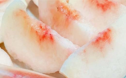 桃 ＜箭内厳雄果樹園＞ もも 3kg　10～13玉 品種おまかせ 贈答用 F7X-0226