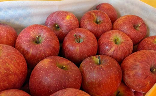 りんご 大玉 11～16個 5kg ＜有我果樹園＞ F7X-0235