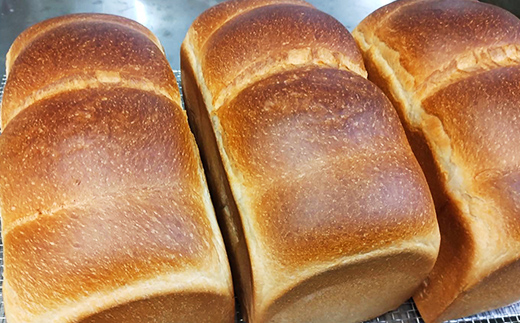 丸十製パン　もっちり食パン&素材にこだった手作りクロワッサン&具材ぎっしり贅沢カンパーニュ F7X-0093