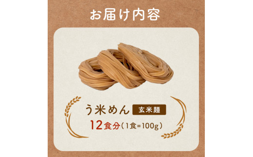 グルテンフリー 米粉で作った麺「う米めん」玄米タイプ12食入り F7X-0209