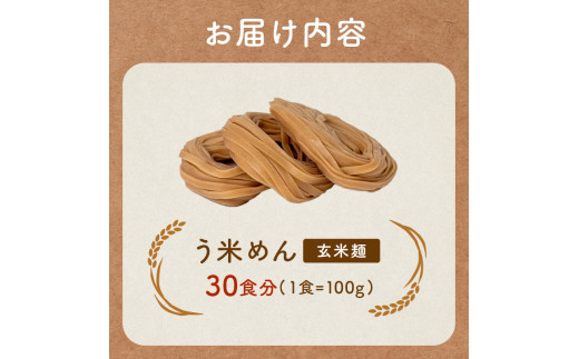 たくさん食べれる グルテンフリー 米粉で作った麺「う米めん」玄米タイプ30食入り F7X-0210