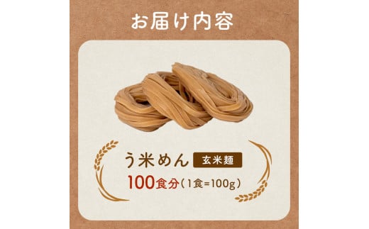 たっぷり入った グルテンフリー 米粉で作った麺「う米めん」玄米タイプ100食入り F7X-0211
