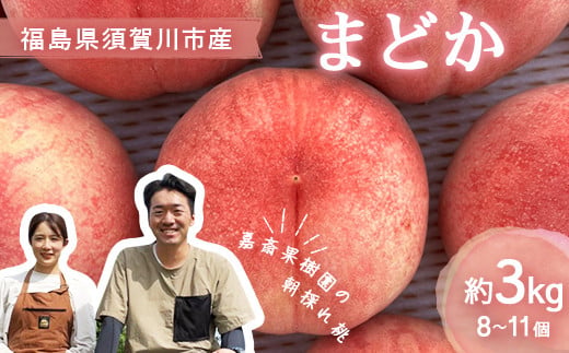 ＜先行受付＞ 嘉斎果樹園の桃「まどか」約3kg（8～11個） もも モモ 桃 デザート フルーツ 果物 くだもの 果実 食品 F7X-0140
