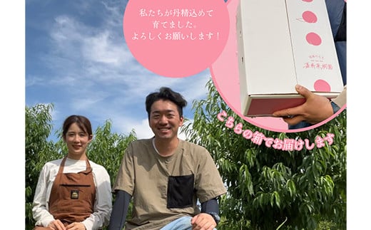 ＜先行受付＞ 嘉斎果樹園の桃「川中島白桃」約3kg（8～11個） もも モモ 桃 デザート フルーツ 果物 くだもの 果実 食品 F7X-0141