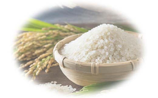 令和7年産米 須賀川市産 にじのきらめき精米10kg ブランド米 お米 精米 白米 人気 F7X-0648