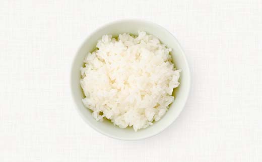 令和7年産米 須賀川市産 にじのきらめき精米20kg ブランド米 お米 精米 白米 人気 F7X-0649