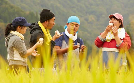 令和7年産米 須賀川市産 にじのきらめき精米20kg ブランド米 お米 精米 白米 人気 F7X-0649