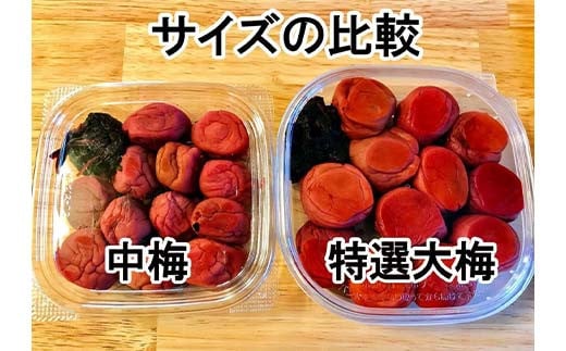辟。豺サ蜉 謇倶ス懊j譴蟷イ縺 迚ケ驕ク 螟ァ譴 250gテ3繝代ャ繧ッ F7X-0039
