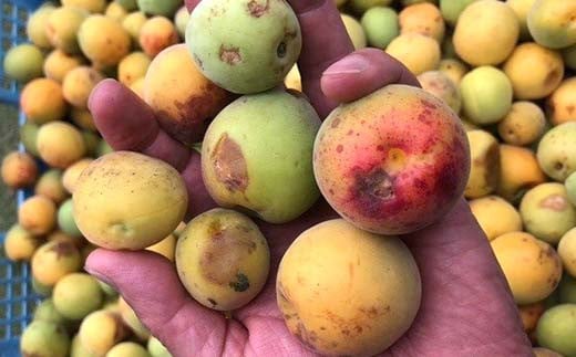 農家のばあちゃん 特製の手作り 無添加 梅干し 150g×15パック F7X-0079