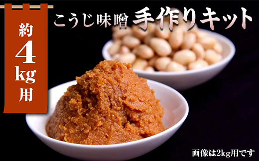 簡単みそ作り こうじ味噌手作りキット4kg 天然塩&国産大豆&米麹使用 F7X-0017