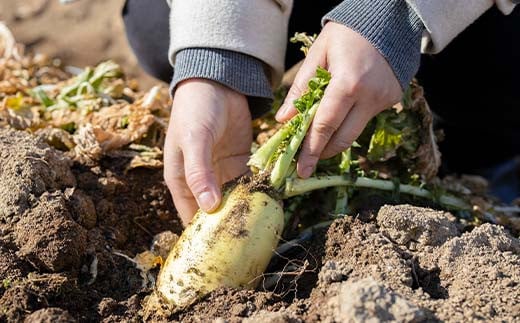 é¿éšèŸ²çžã®æ¡ãããŠéèã§BBQ!蟲æ¥äœéšãšéèãã£ã·ãããŒããã¥ãŒãã©ã³ 2åæ§ F7X-0085