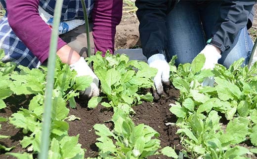 é¿éšèŸ²çžã®æ¡ãããŠéèã§BBQ!蟲æ¥äœéšãšéèãã£ã·ãããŒããã¥ãŒãã©ã³ 2åæ§ F7X-0085