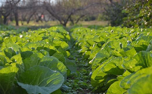 é¿éšèŸ²çžã®æ¡ãããŠéèã§BBQ!蟲æ¥äœéšãšéèãã£ã·ãããŒããã¥ãŒãã©ã³ 2åæ§ F7X-0085